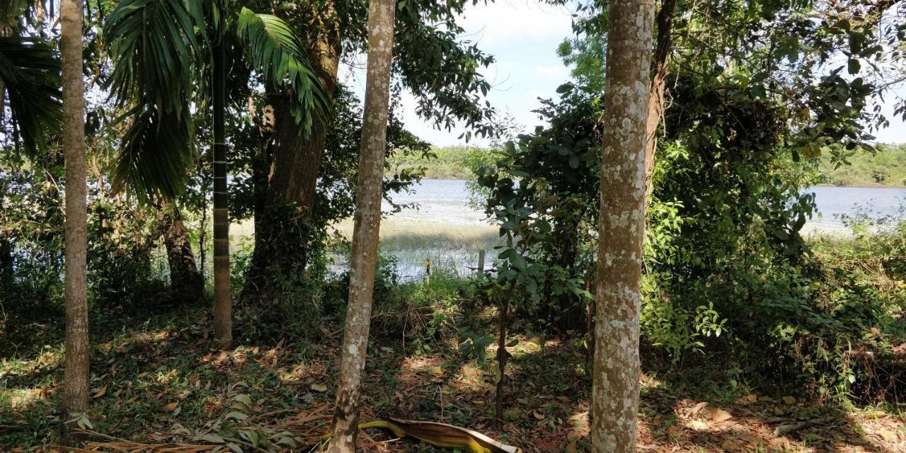 Sugamya Farm Guesthouse Sagar  Esterno foto
