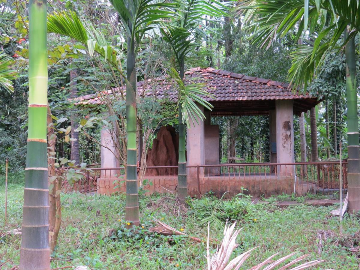 Sugamya Farm Guesthouse Sagar  Esterno foto