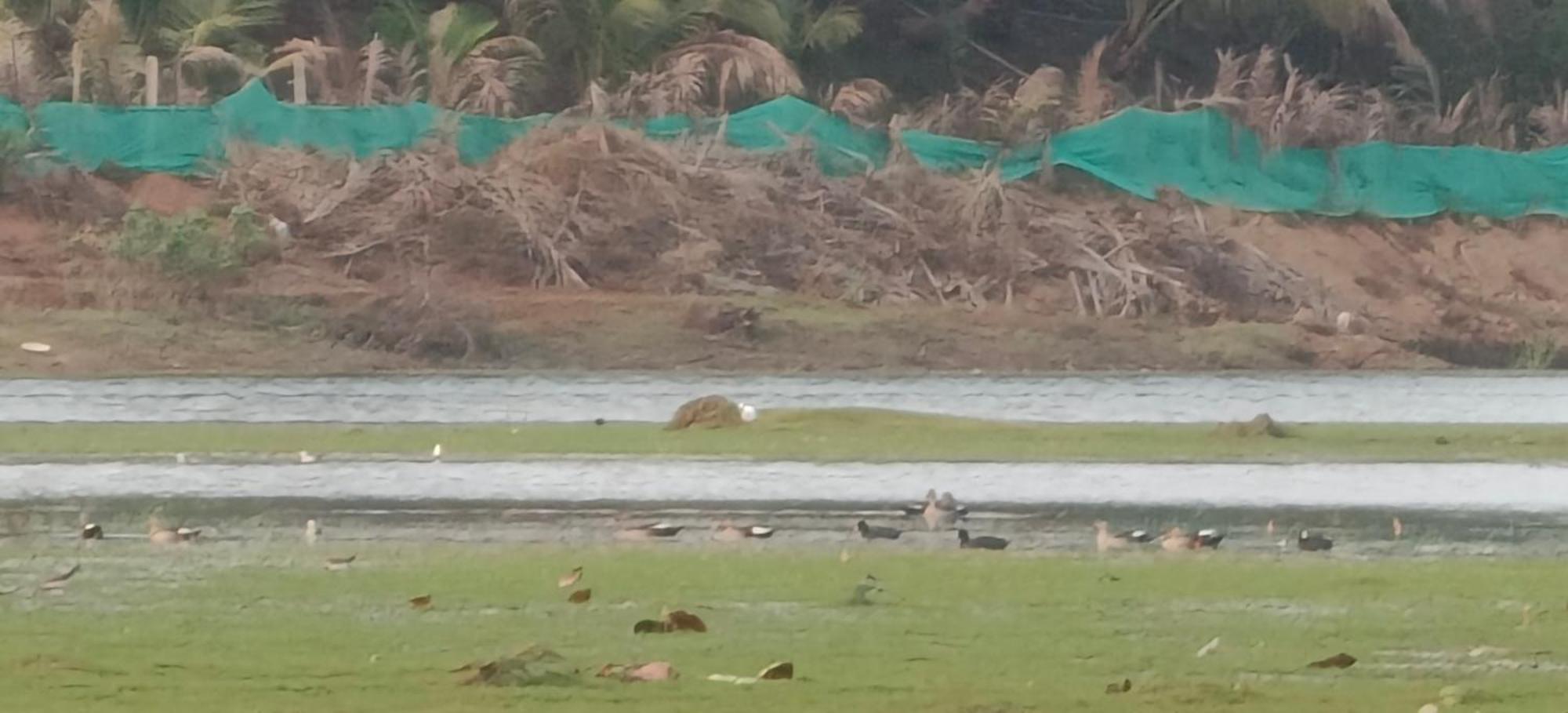 Sugamya Farm Guesthouse Sagar  Esterno foto