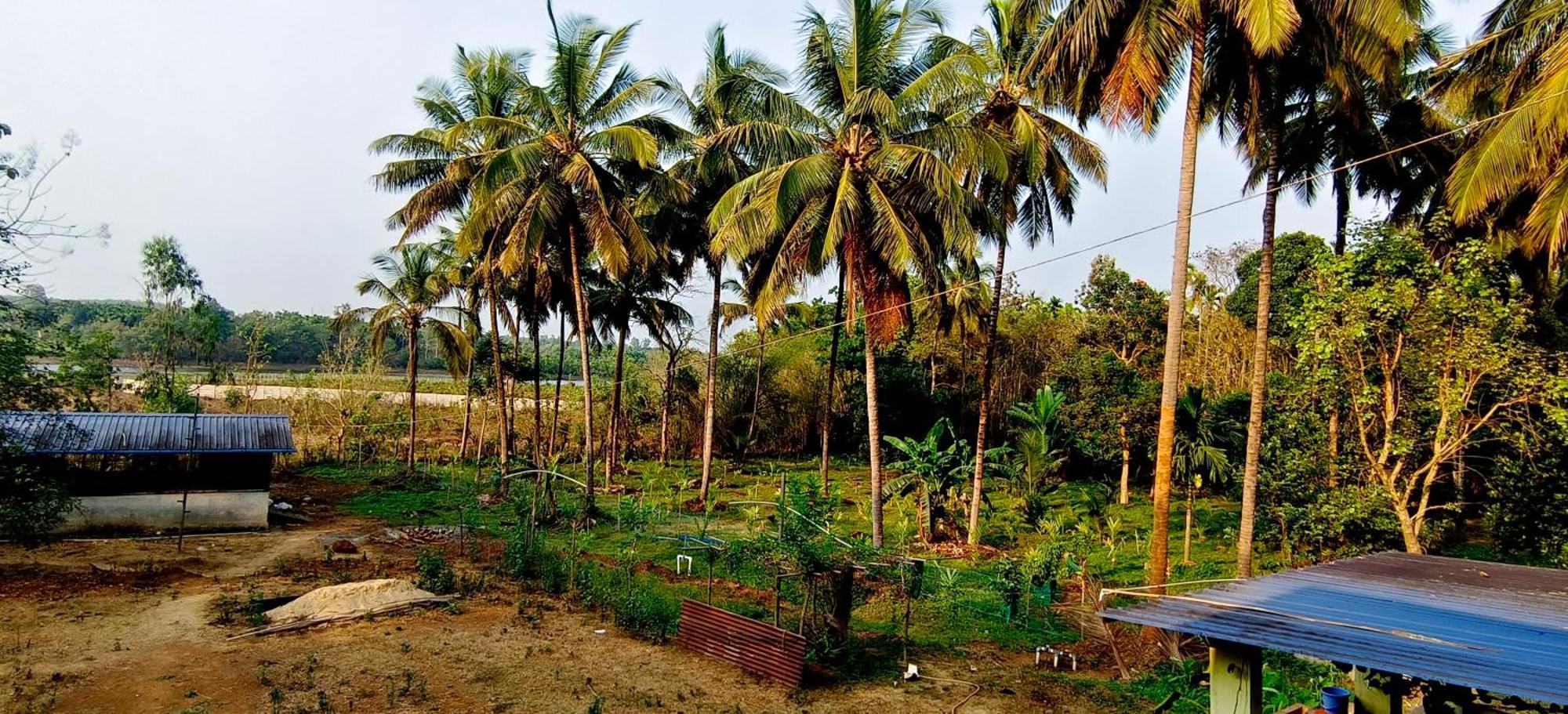 Sugamya Farm Guesthouse Sagar  Esterno foto